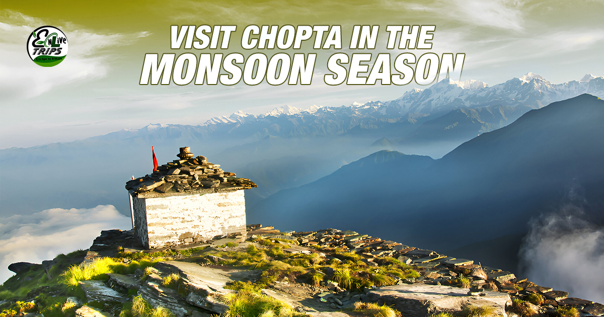 Visit Chopta in Monsoon Season—A Hidden Gem in the Uttarakhand Hills